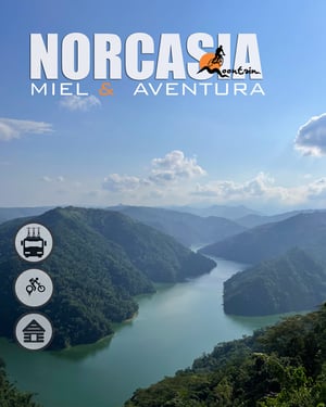 NORCASIA3web