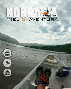 NORCASIA4web