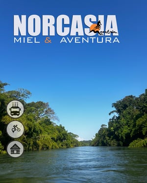 NORCASIA6web