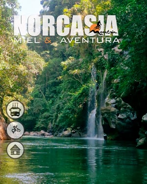 NORCASIA7web